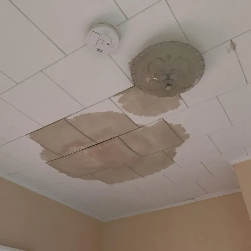 Ceiling Water Damage Repair in Tonka Bay, MN