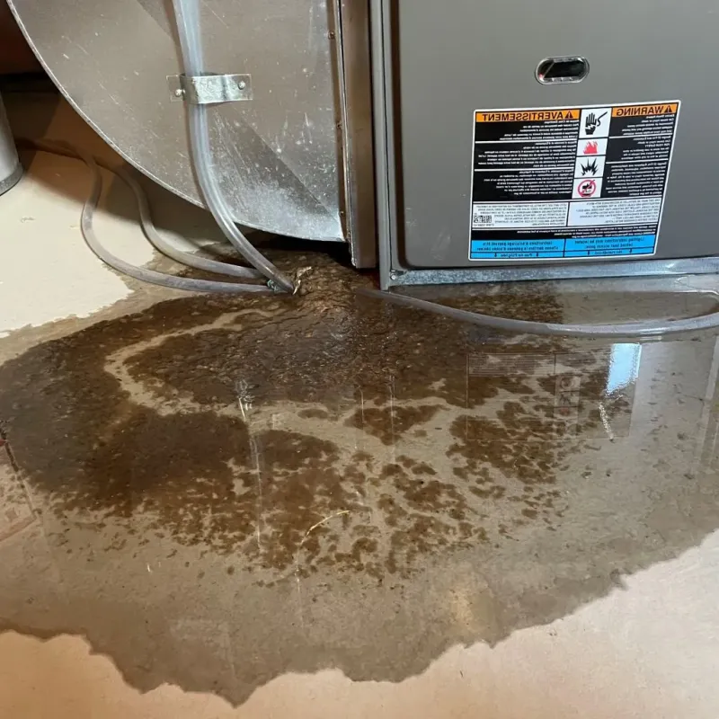Pipe Burst and Leak Restoration in Tonka Bay, MN